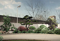 園林景觀設(shè)計(jì)公司：園林景觀設(shè)計(jì)常用的原則有哪些？